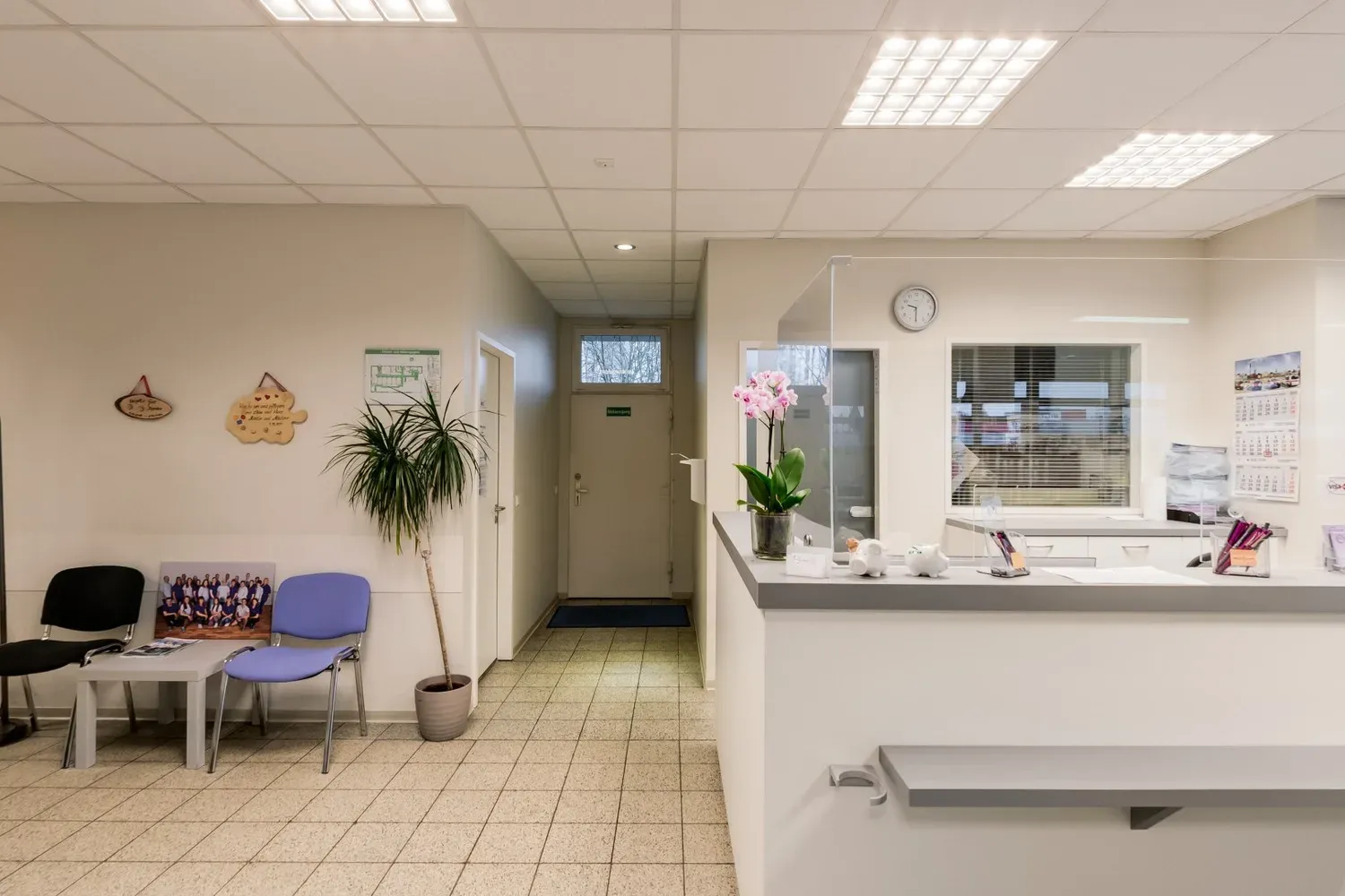 Anmeldung mit Empfangstresen und Orchidee in der Wittenauer Straße