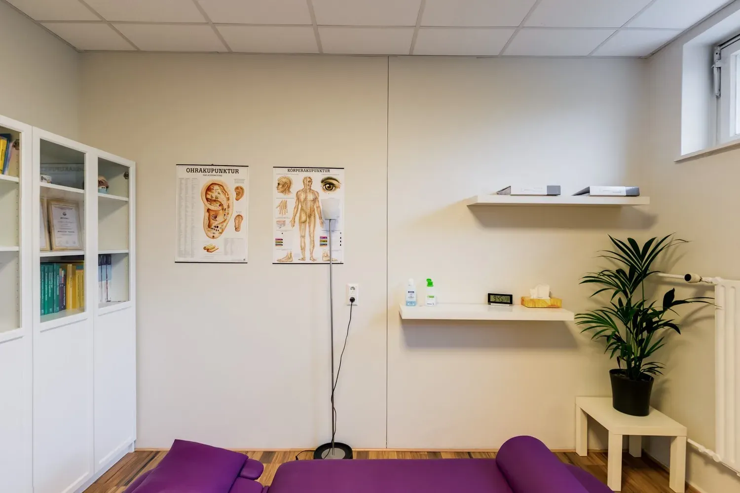 Behandlungsraum mit violetter Therapieliege, Anatomietafeln und Pflanze