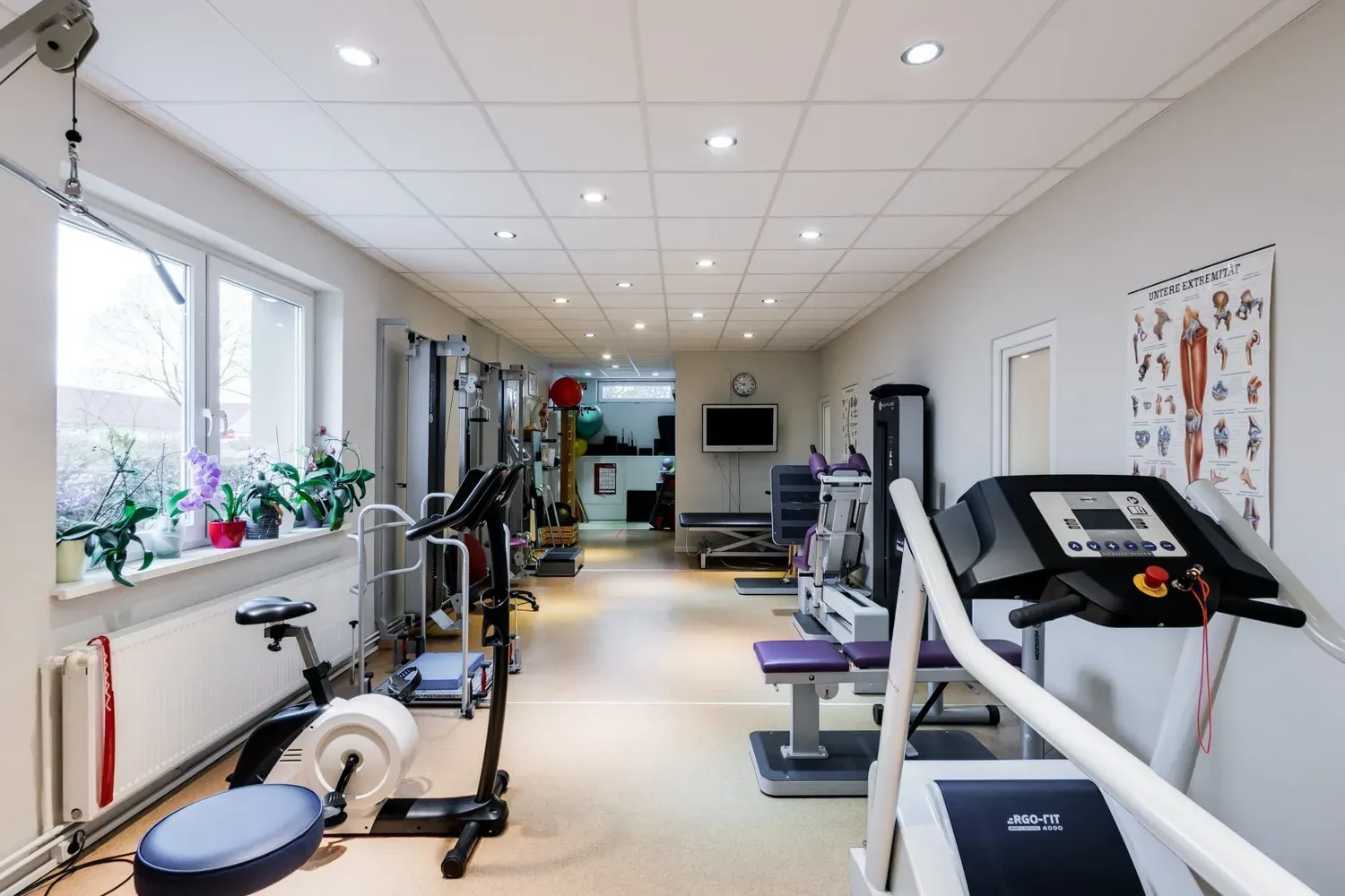 Trainingsfläche mit Laufband, Ergometer und Seilzuggeräten am Fenster